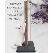 Orvessa 70 cm Sarsılmaz Kedi Tırmalama Tahtası - Güçlü ve Uzun Ömürlü Tasarım Kedi Tırmalaması