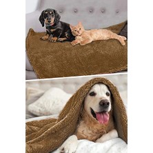 Orvessa Peluş Yatak ve Örtü, Rahat ve Sıcak Uyku Alanı Kedi ve Köpek Yatağı 60X90 cm