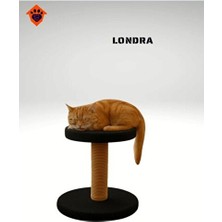 Orvessa Londra Temalı Kedi Tırmalama Oyuncağı - Eğlenceli ve Çekici Tasarım Kedi Tırmalaması