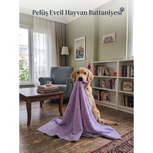 Orvessa Yumuşak Pelüş Yatak ve Battaniye Seti, Sıcacık ve Konforlu Uyku Alanı Kedi ve Köpek Yatağı