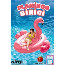 Orvessa Renkli Flamingo Şişme Deniz Yatağı Tutmaçlı Şişme Havuz & Aksesuarı