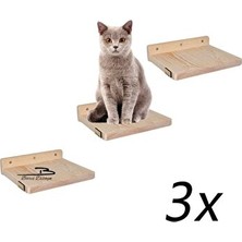 Orvessa Doğal Ahşap Kedi Basamağı ve Yürüyüş Parkuru 3 Adet Kedi Tırmalaması