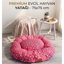 Orvessa Yıldız Desenli Ğı, Konforlu Uyku Için Kedi ve Köpek Yatağı