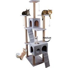 Orvessa Kedi Tırmalama ve Oyun Evi, Eğlenceli ve Tırmalama Alanı Kedi ve Köpek Yatağı