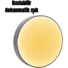 V010 LED