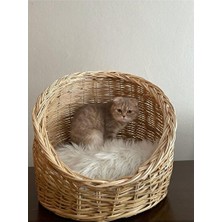 Orvessa Büyük Boy Kedi ve Köpek Sepeti - Rahat Uyku ve Dinlenme Alanı Kedi ve Köpek Yatağı