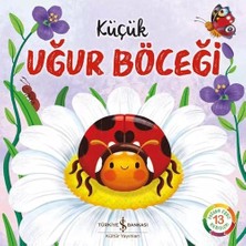 Maxi Trendy Küçük Uğur Böceği