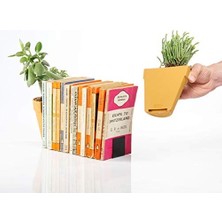 Maxi Trendy Suck Uk Çiçek Saksısı-Kitap Sehpası, Plastik, Kahverengi, 12 x 12 x 15,5 cm