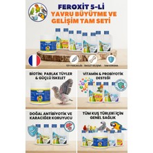 Feroxit Tüm Kuşlar Için 5'li Yavru Büyütme ve Tam Bakım Gelişim Seti