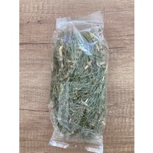 Altın Gıda 45 36 gr Kırkkilit Otu (At Kuyruğu Otu) – Doğal Kurutulmuş Bitki Çayı – Katkısız