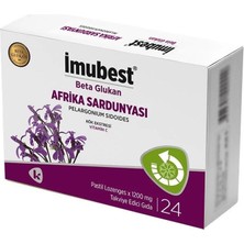 İmubest Imubest 24 Pastil ( 1 Adet )