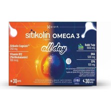 Haver Sitikolin & Omega 3 All Day 60 Kapsül ( 1 Adet )