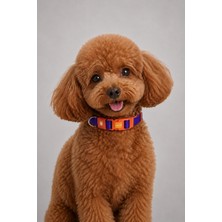 Caramelos Köpek Tasması-Çift Örgü Kumaş-Köpek Boyun Tasması- Küçük Irk Tasma- Orta Irk Tasma- 2 cm