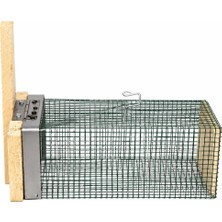 AlanSansli Fare Kapanı Orta Boy Dışı Telli 12 x 25 x 11 cm