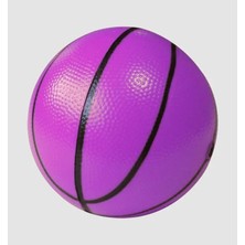 İleri Toys Küçük Top Basketbol Topu Plastik Top