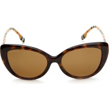 Burberry Dark Havana Kadın Güneş Gözlüğü