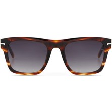 Cerruti 1881 Cr 80008 C2 Asetat Havana Erkek Güneş Gözlüğü