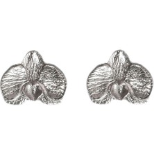 Alegoria Jewellery Orkide 925 Ayar Gümüş Kadın Küpe