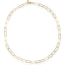 Orena Jewelry Paperclip 14 Ayar Kadın Altın Kolye