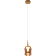 Bakara Collection Andromeda Bakır Cam Uzun Tekli LED Sarkıt Avize 12 x 200 cm
