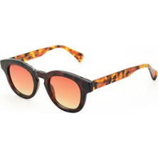 Looklight Pinus Chocolate Unisex Güneş Gözlüğü