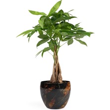 Via Gardenia Vive El Yapımı Metal L Saksı 21X16 cm
