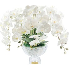 Cote Noire Luxury Centerpiece Beyaz Orkide Koku