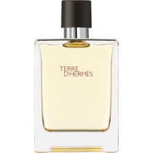 Hermes Terre D'hermès Eau De Toilette 100ML