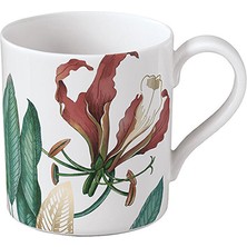Villeroy & Boch Avarua Tropik Desenli Porselen Çay Kahve Fincanı