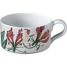 Villeroy & Boch Avarua Tropik Desenli Porselen Çay Kahve Fincanı