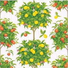 Caspari Citrus Topiaries Desenli 20'li Kağıt Peçete Seti