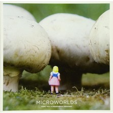 Laurence King Publishing Microworlds Yabancı Dil Kitabı