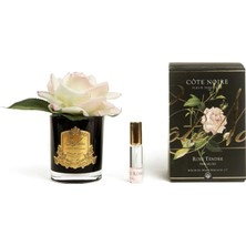 Cote Noire Altın Rengi Gold Oda Kokusu