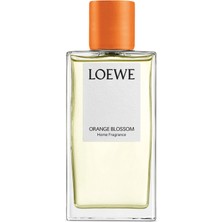 Loewe Orange Blossom Home Fragrance