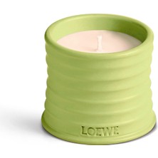 Loewe Cucumber 170 gr Mum