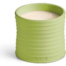 Loewe Cucumber Medium 610 gr Mum
