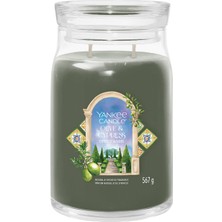 Yankee Candle Olive & Cypress Yeşil Kokulu Mum 567 gr