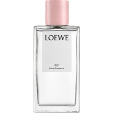 Loewe Ivy Home Fragrance 150 ml