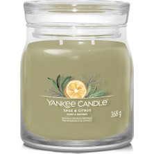Yankee Candle Sage And Citrus Yeşil Kokuku Orta Mum 368 G