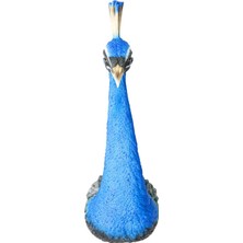 Kare Design Peacock Duvar Süsü