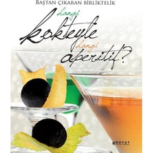 Boyut Yayın Grubu Hangi Kokteyle Hangi Aperitif Yemek Kitabı