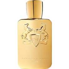 Parfums de Marly Godolphin 125 ml Erkek Parfüm