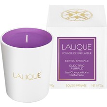 Lalique Electric Purple Mum