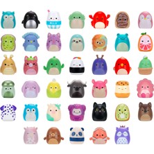 Squishmallows Squish-A-Longs Mini-Squish 40'lı Karakter Figür Oyuncak SQAL0129