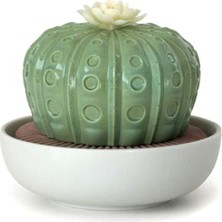Lladro Astrophytum Kaktüs Kokulu Oda Kokusu