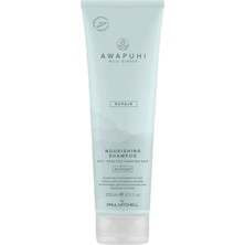 Awapuhi Wild Ginger Repair Nourishing Besleyici Şampuan 250 ml