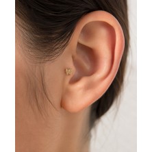 Sarezza Gold 14 Ayar Altın Kelebek Model Taş Detaylı Tragus Piercing Küpe