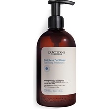 L'Occitane Aromakoloji Arındırıcı ve Canlandırıcı Şampuan 500 ml