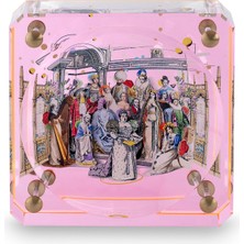 Astomeria Shakespeare Pembe Pleksi Kase - Küçük
