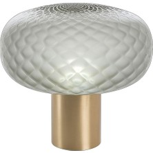 Bloom Transparan Cam Metal LED Masa Lambası